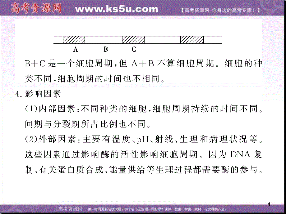 浙科版高中生物必修一同步系列细胞的增殖课件4_第4页