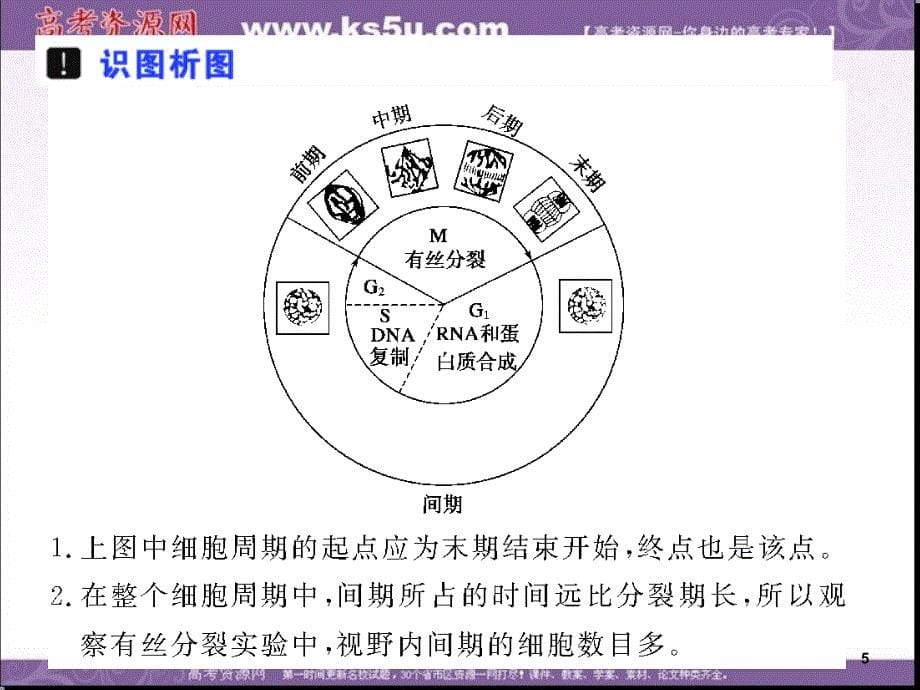 浙科版高中生物必修一同步系列细胞的增殖课件4_第5页