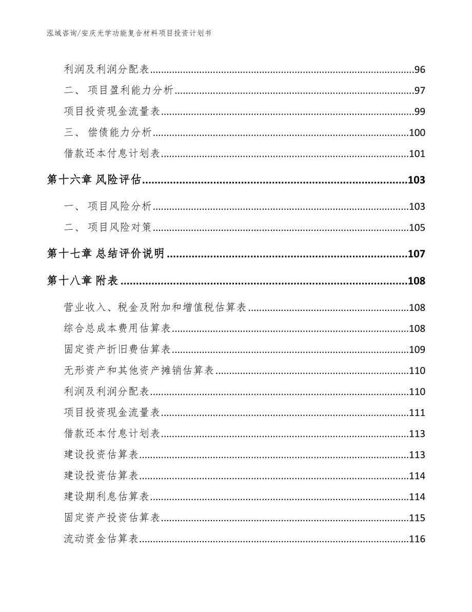 安庆光学功能复合材料项目投资计划书_第5页