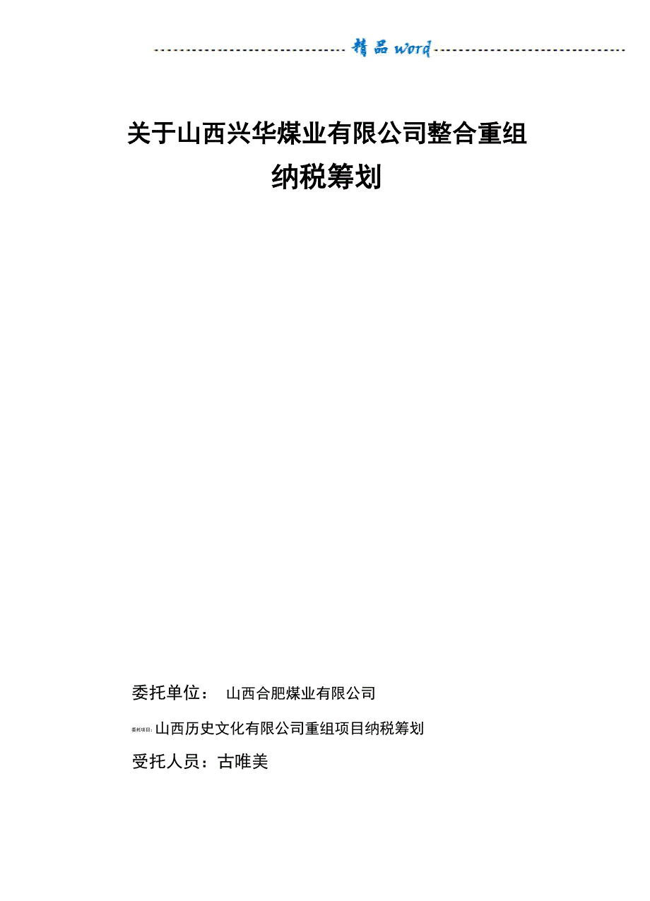 纳税筹划建议书完整模板_第1页