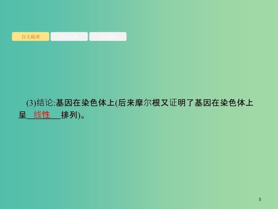 2020版高考生物一轮复习 6.1 基因在染色体上、伴性遗传课件 苏教版必修2.ppt_第5页