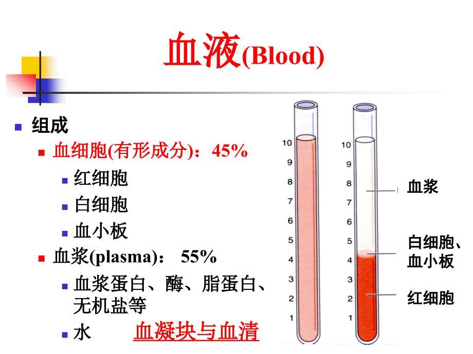 医学专题：血液-10_第2页