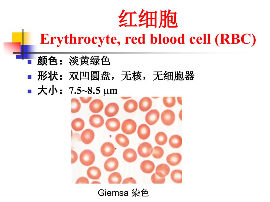 医学专题：血液-10_第4页