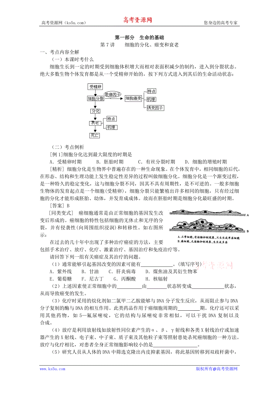 2011年高考生物复习教案：第7讲 细胞的分化、癌变和衰老(人教版).doc_第1页