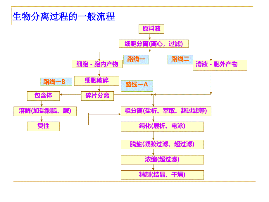 生物工程下游技术第四章沉淀法课件_第2页