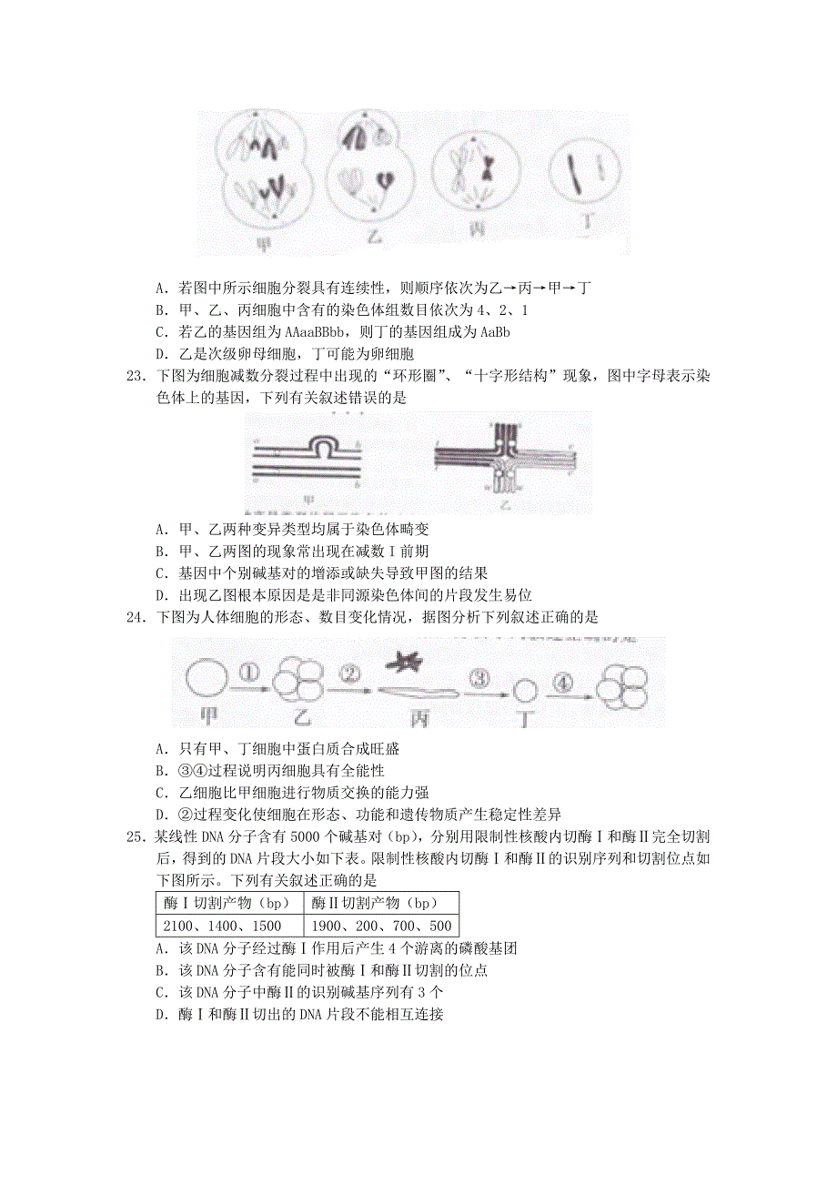 高三生物上学期期末试题新人教版_第4页