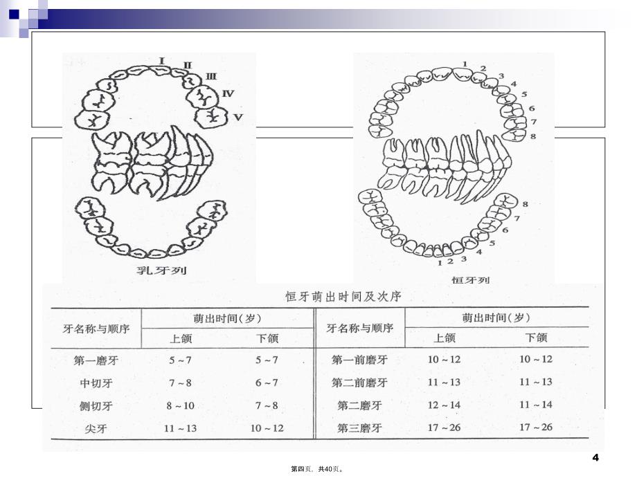 中小学生健康教育龋齿防治说课讲解_第4页