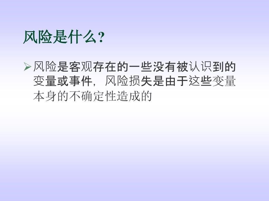 企业内部控制与风险管理教材_第5页