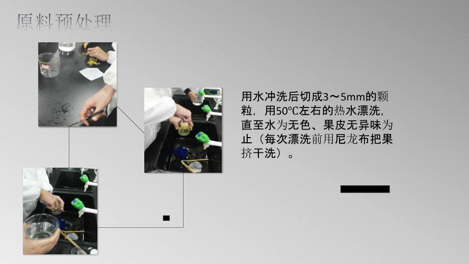 果胶提取实验总结.ppt_第4页