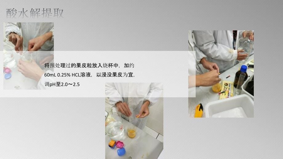 果胶提取实验总结.ppt_第5页