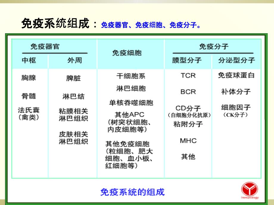 免疫系统的组织和器官(上)_第4页