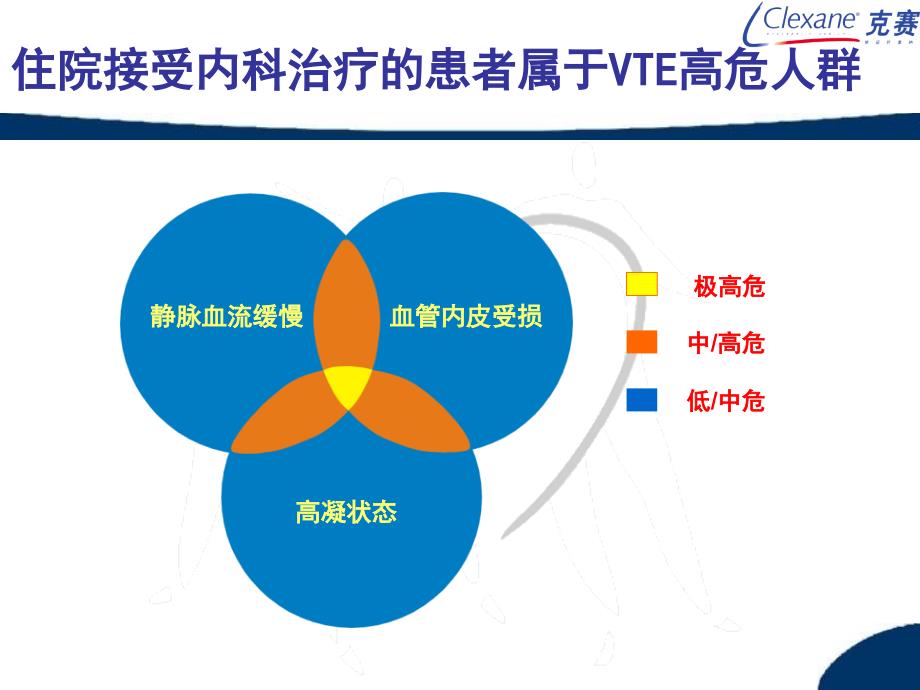 克赛内科VTE预防_第4页