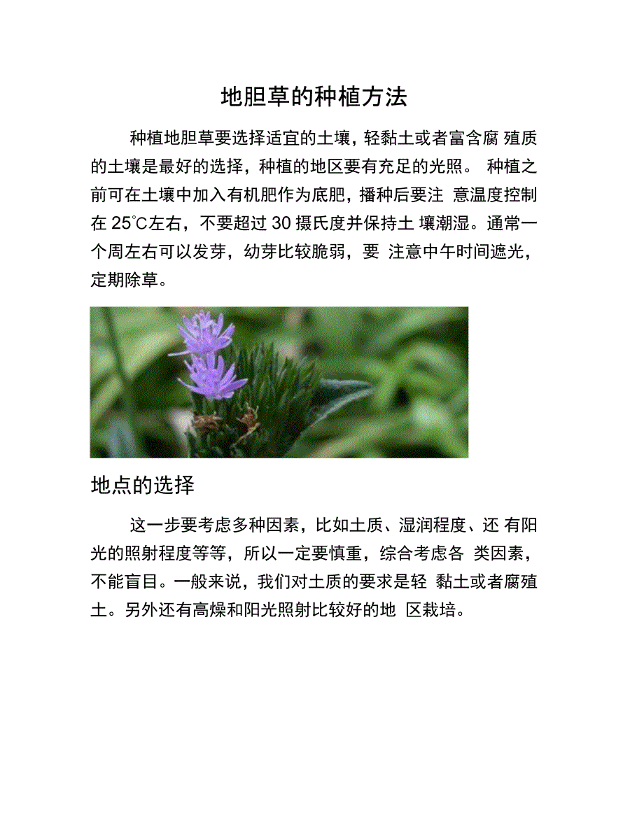 地胆草的种植方法养花技巧_第1页