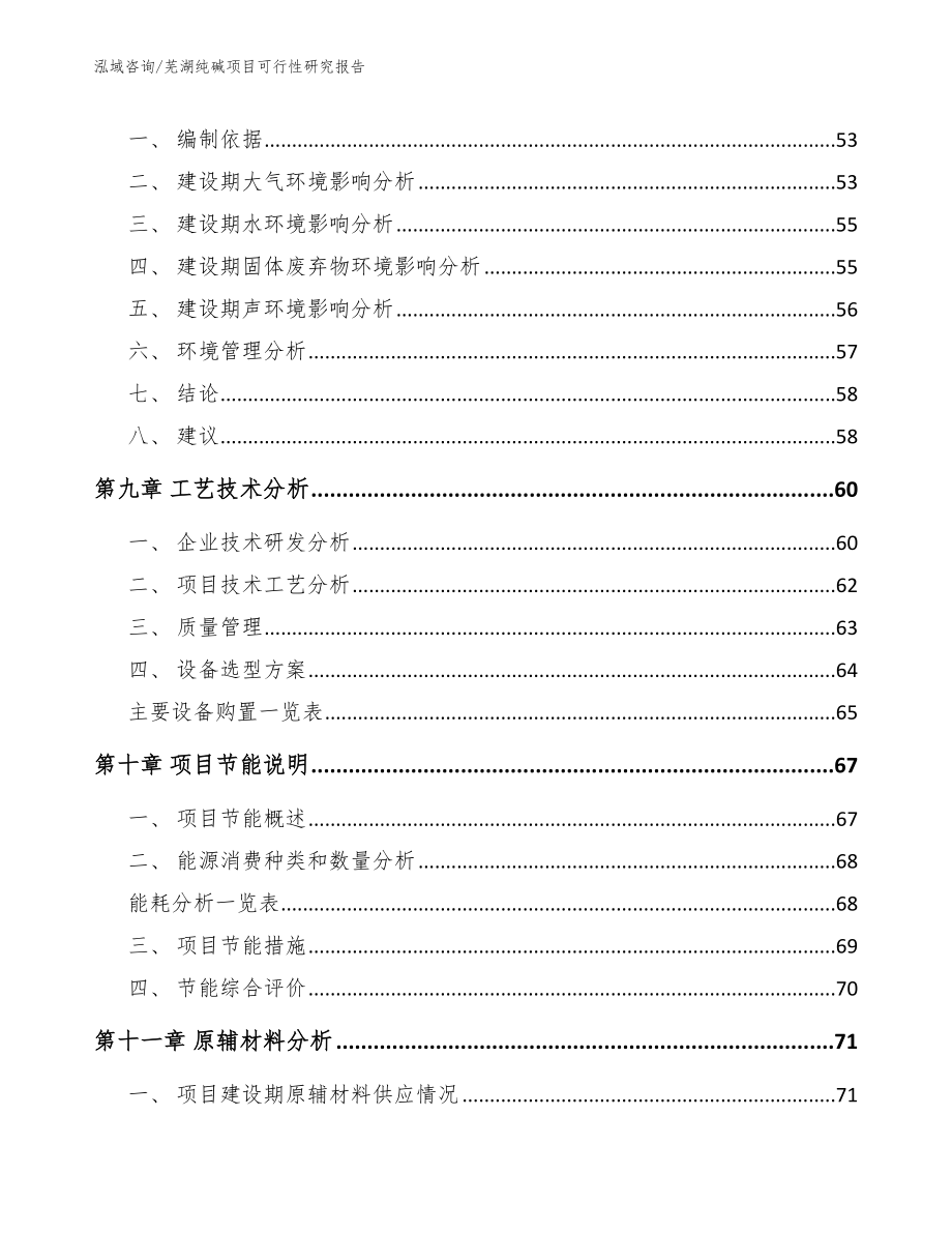 芜湖纯碱项目可行性研究报告【范文】_第3页