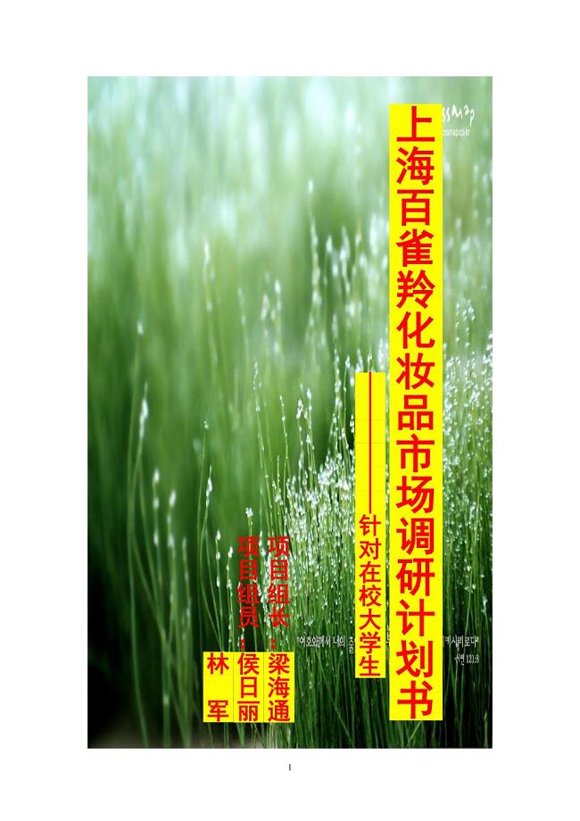 百雀羚市场营销调研计划书