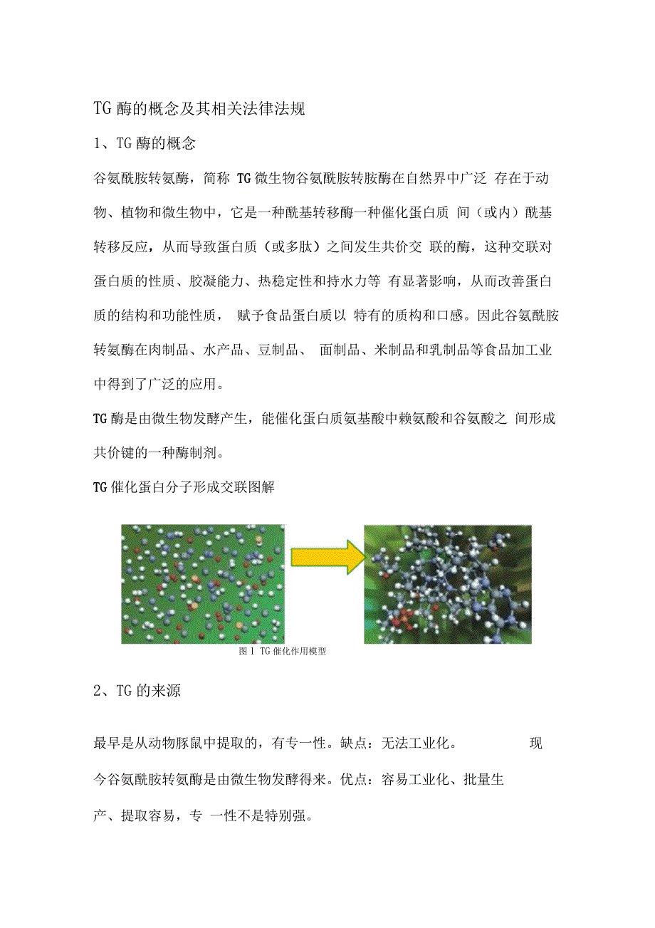 TG酶的特点、原理及使用工艺方法_第1页