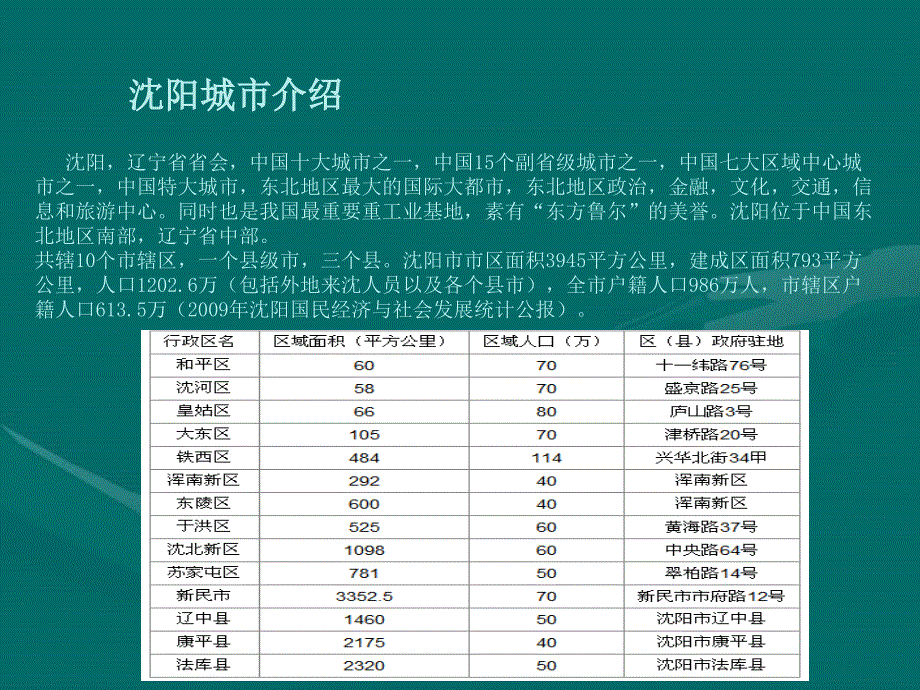 沈阳滨河美食街项目评估报告(终稿)_第1页