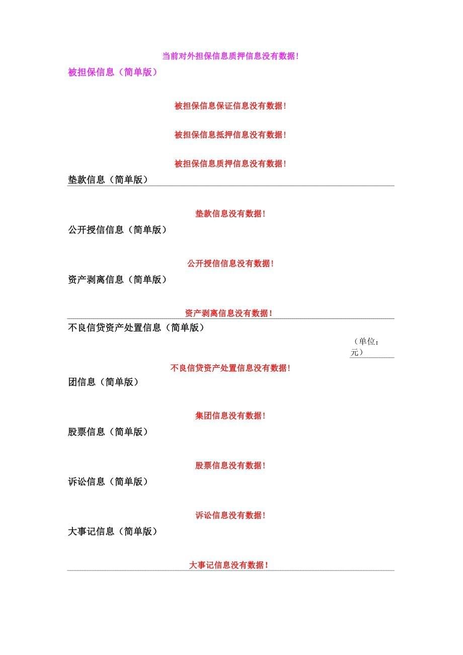 简版个人征信报告模板_第5页