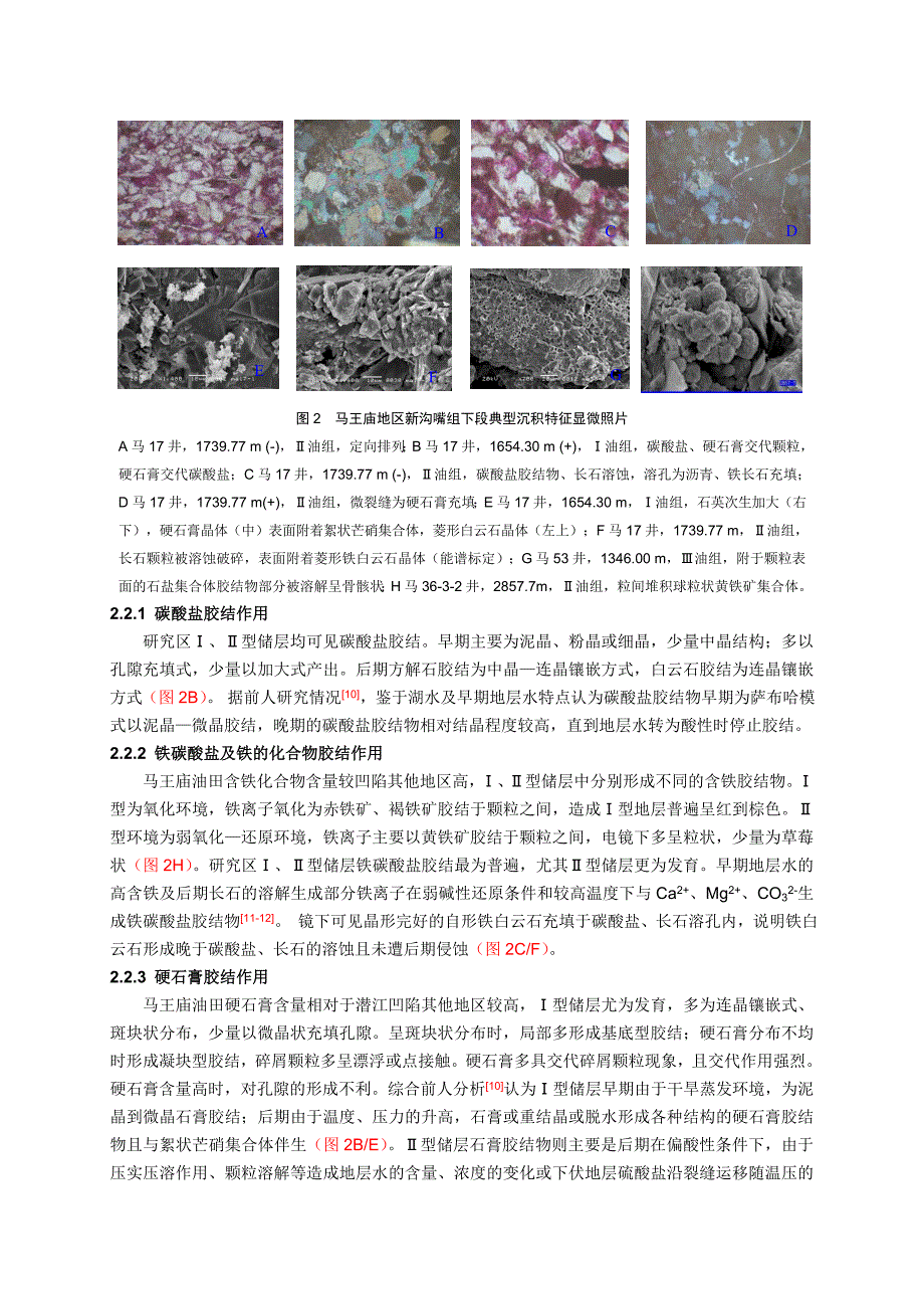 潜江凹陷马王庙地区新沟嘴组下段成岩作用_第3页