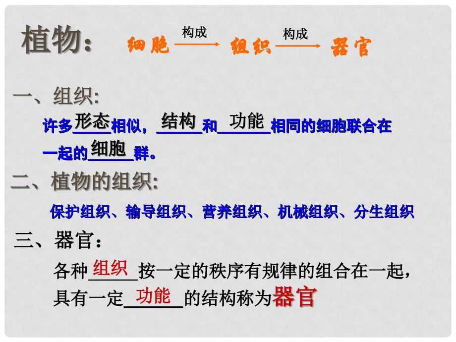 七年级科学上册《生物体的结构层次》课件15 浙教版_第3页