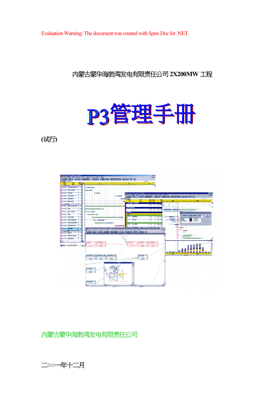 XX海电工程P3管理手册_第1页