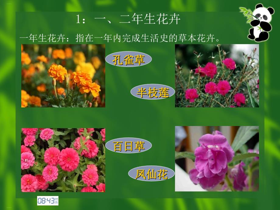 园林花卉分类概述课件_第4页