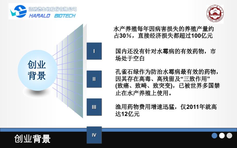 挑战杯创业大赛模板PPT_第4页