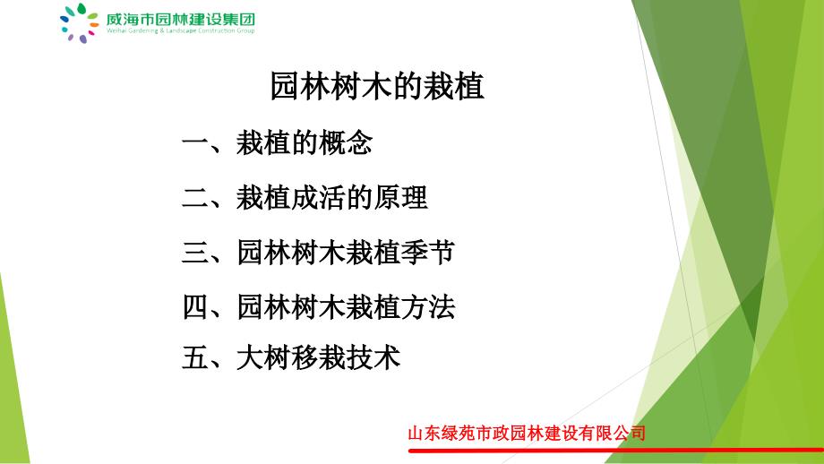 园林树木的栽植培训课程.ppt_第2页