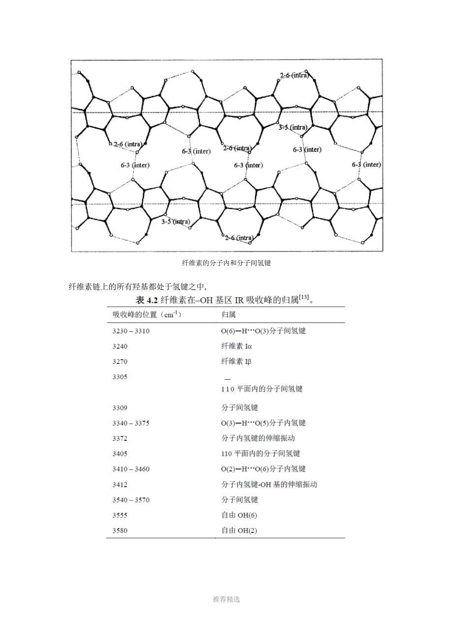 纤维素知识-1_第5页