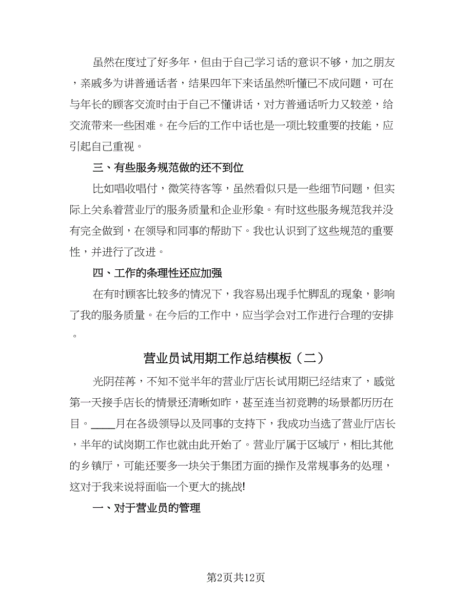 营业员试用期工作总结模板（六篇）.doc_第2页