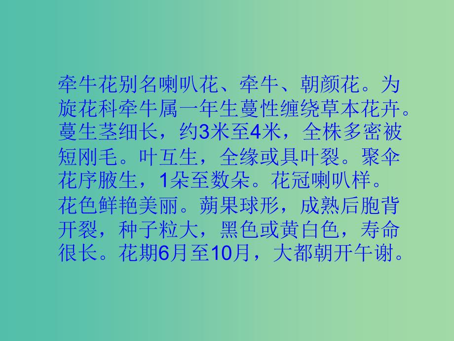 三年级语文上册关于牵牛花的评论课件1冀教版_第4页