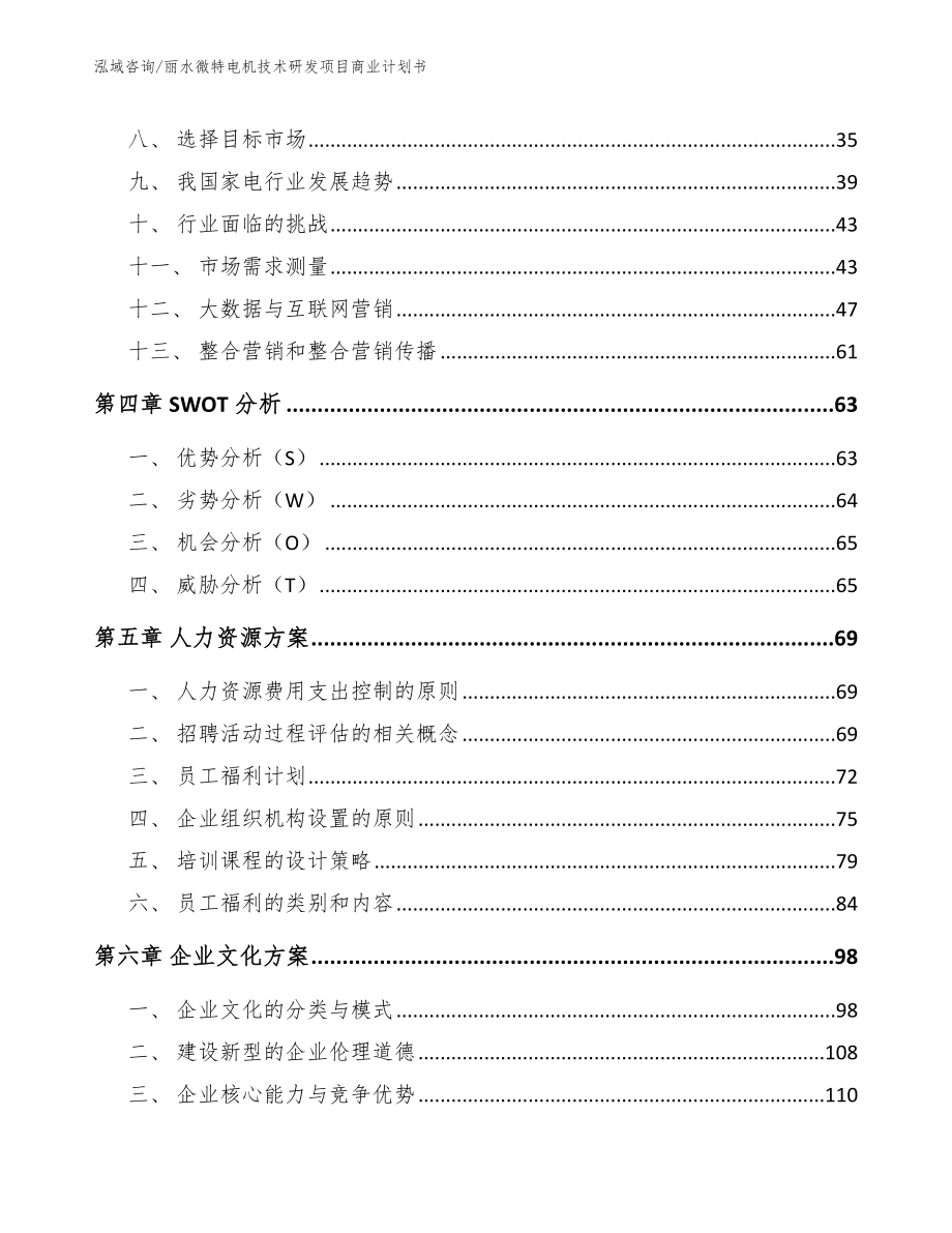 丽水微特电机技术研发项目商业计划书（范文模板）_第3页