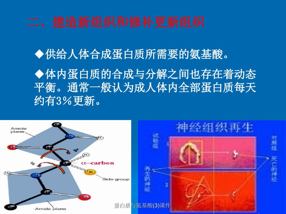 蛋白质与氨基酸3课件_第3页