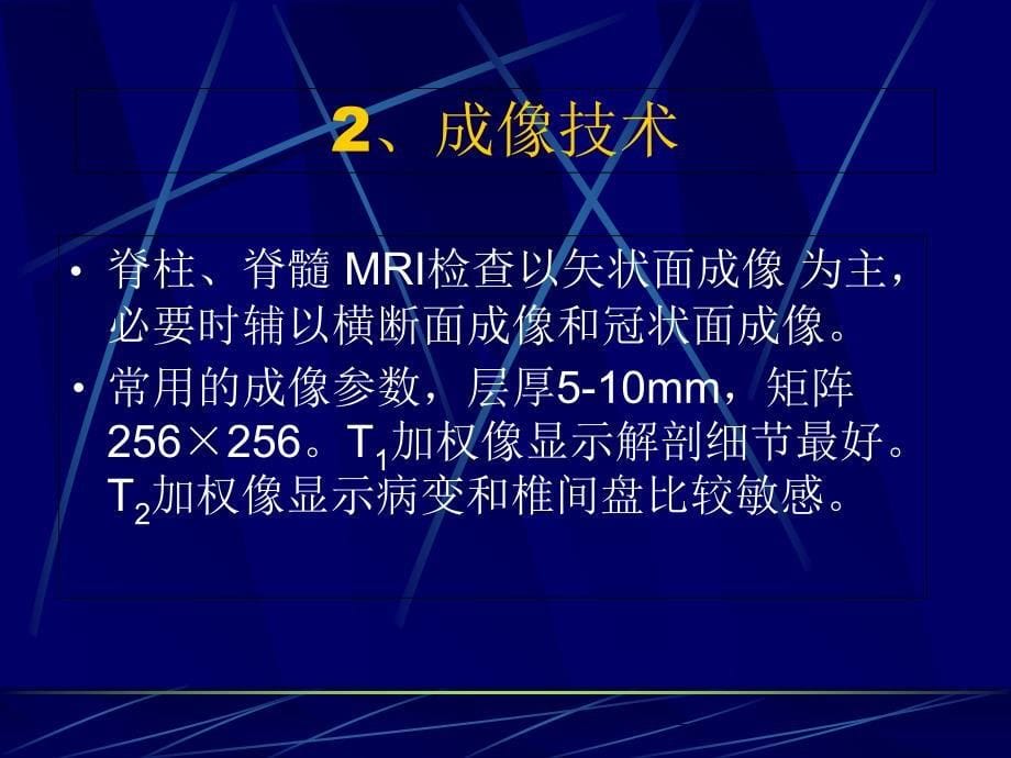 脊柱和脊髓疾病的MRI诊断-医学影像专业_第5页