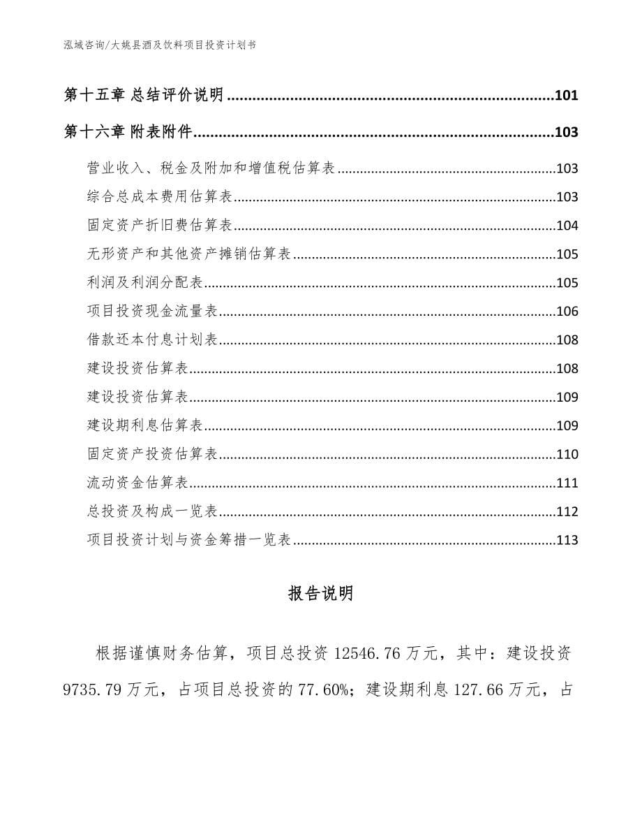大姚县酒及饮料项目投资计划书【范文】_第5页