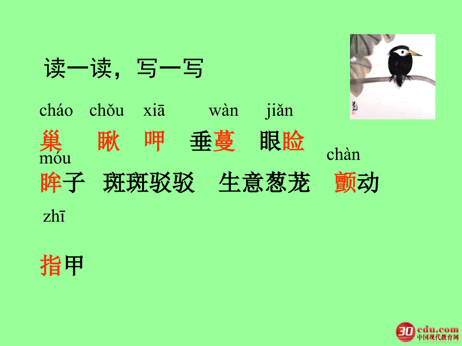 珍珠t课件苏州公司ppt_第4页