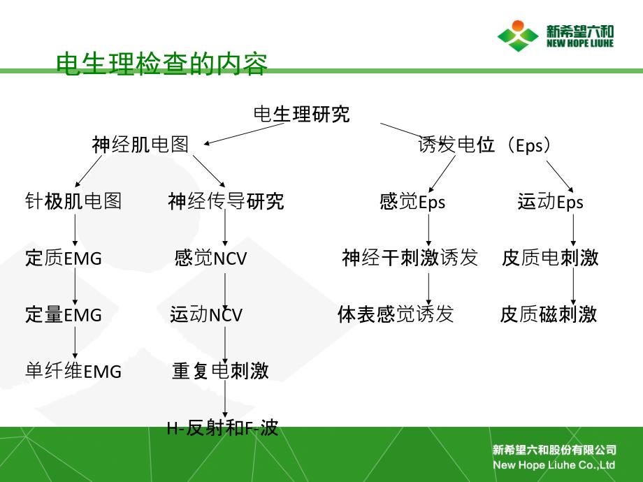 周围神经损害的电生理检查PPT_第3页