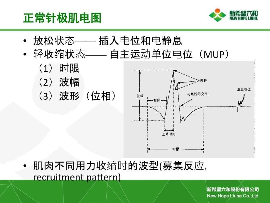 周围神经损害的电生理检查PPT_第5页