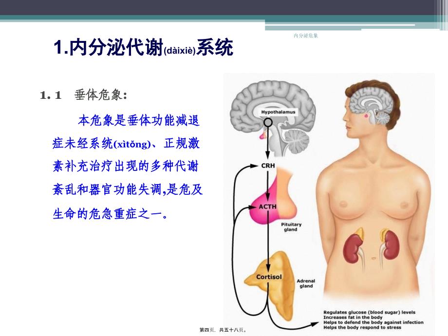 内分泌危象课件_第4页