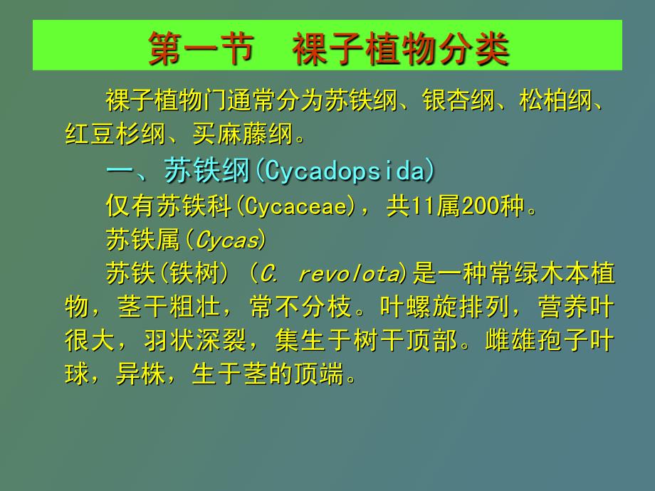 种子植物分类_第2页