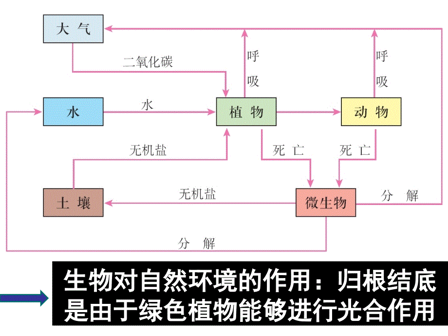 地理：51《自然地理环境的整体性》课件（新人教版必修一）_第4页