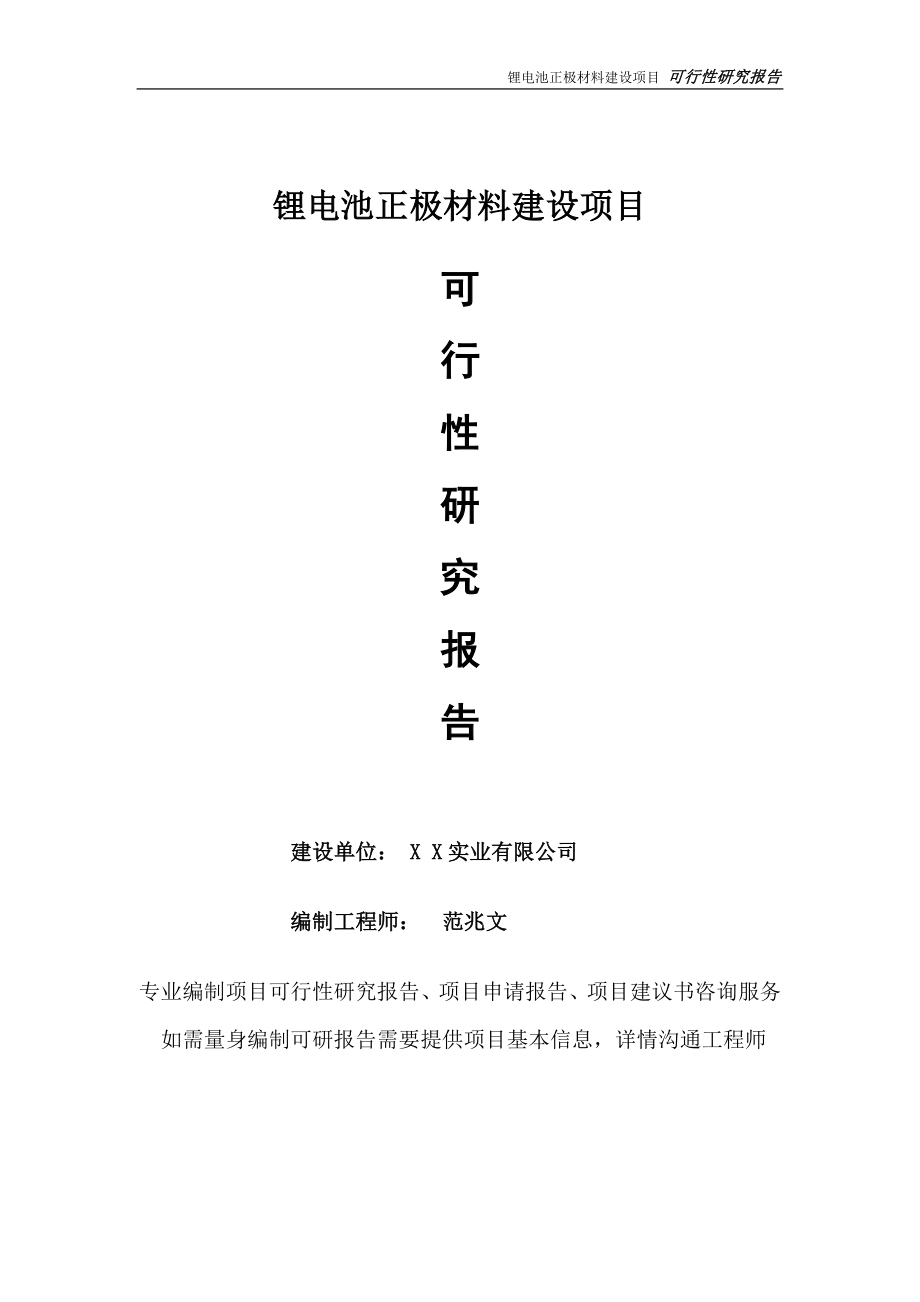 锂电池正极材料项目可行性研究报告-完整可修改版.doc