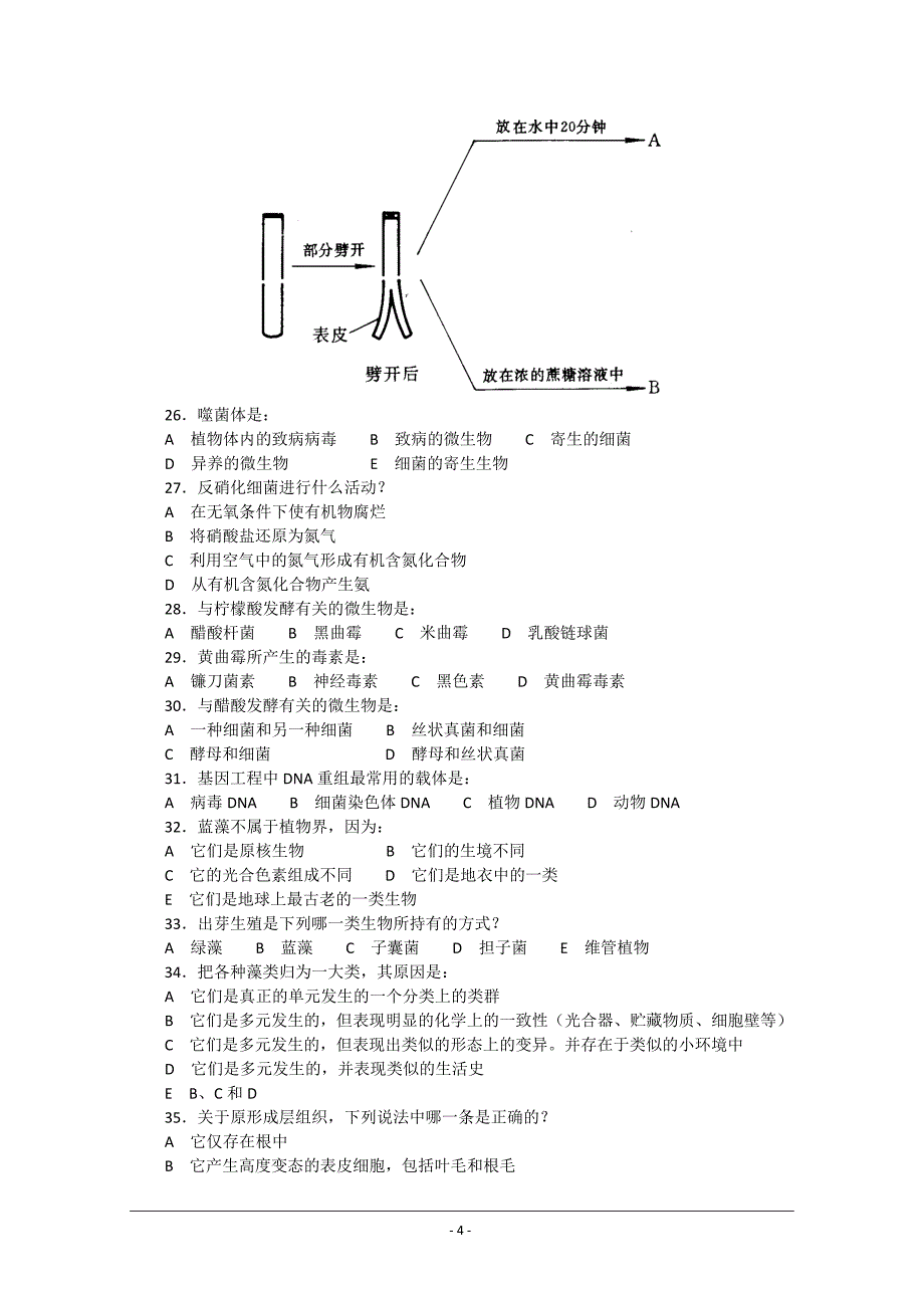 生物：第3届IBO理论试题及详细解析.doc_第4页