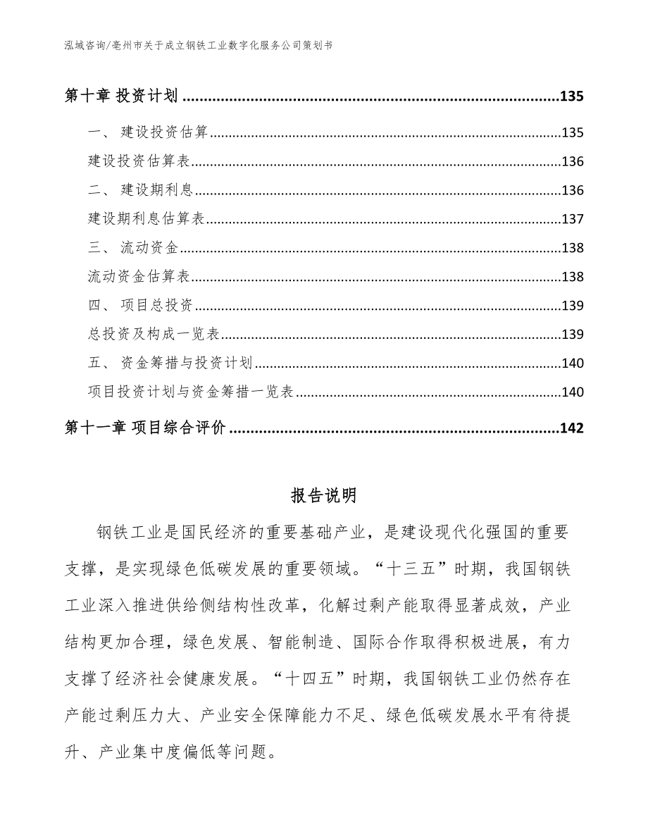 亳州市关于成立钢铁工业数字化服务公司策划书【模板参考】_第4页