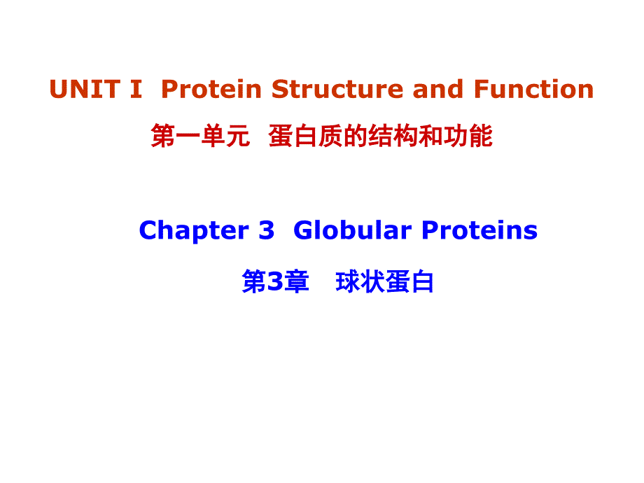 生物化学资料：3-globular proteins_第1页