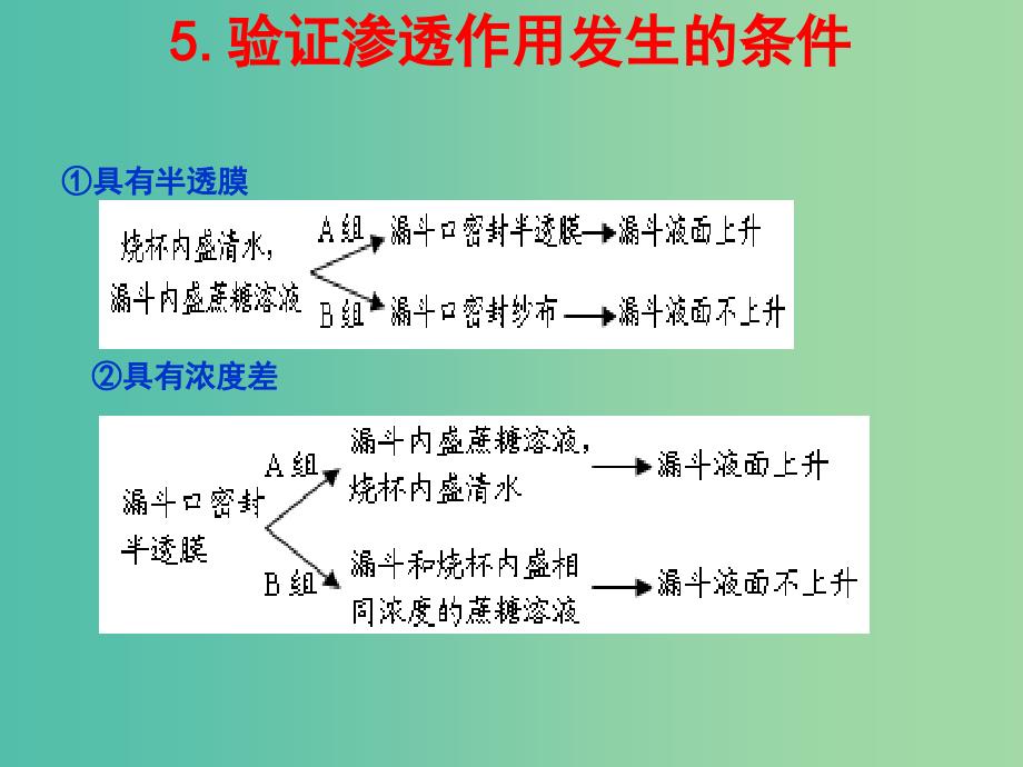 高中生物 专题4.1 物质跨膜运输的实例课件 新人教版必修1.ppt_第3页