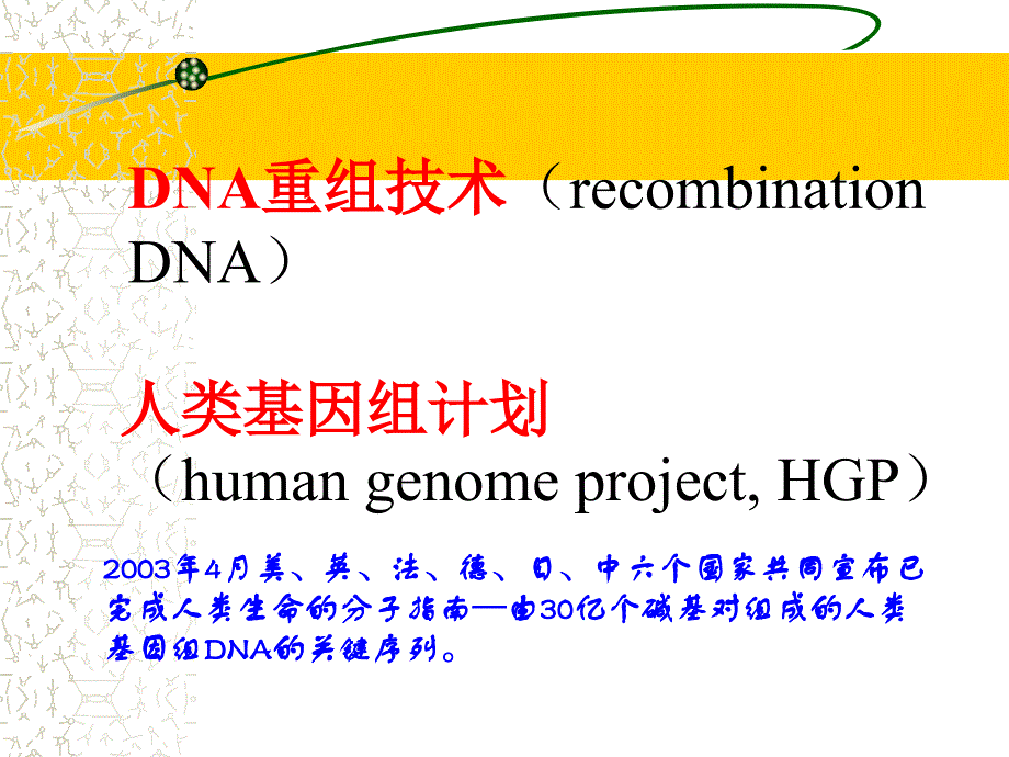 《蛋白质与核酸修改》PPT课件_第4页