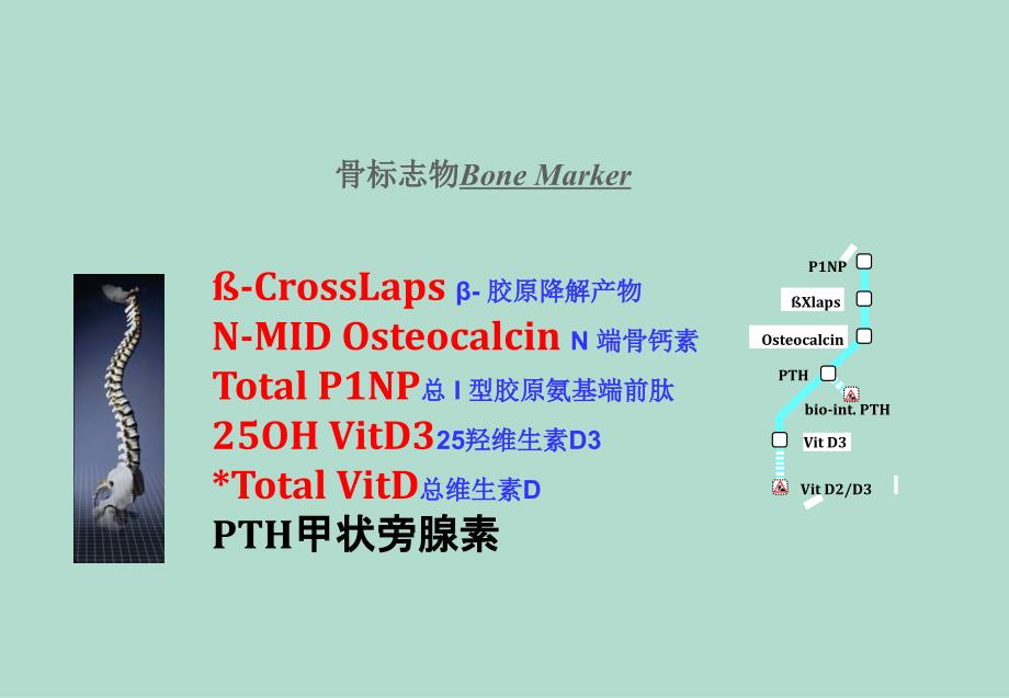 骨标志物临床应用_第1页