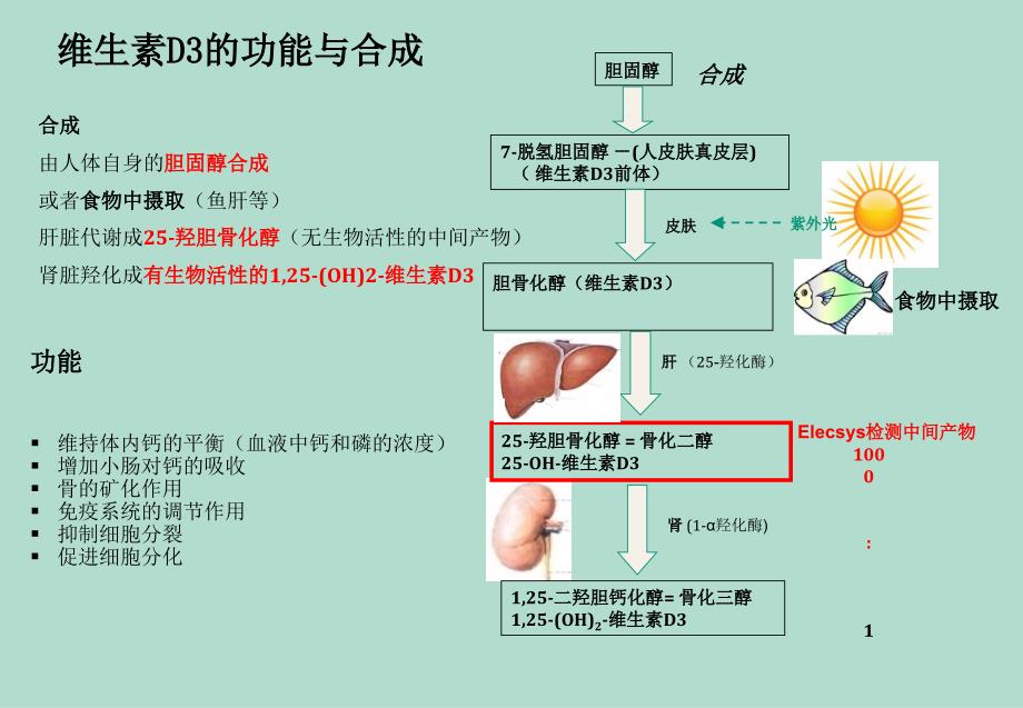 骨标志物临床应用_第4页