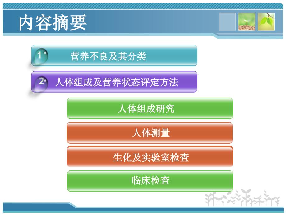 营养状态的评估PPT课件_第2页